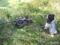Русский охотничий спаниель - Фото: 4